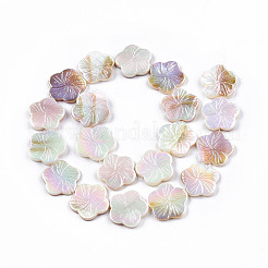 Fils de perles de coquille d'eau douce naturelles galvanisées&nbsp;X-SHEL-N026-203B-01