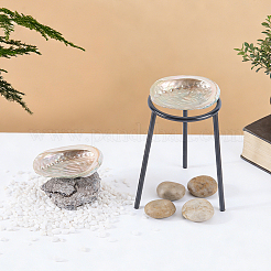 4 pièce de décoration d'affichage en coquillage naturel&nbsp;DJEW-ME0001-23