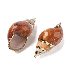 Grandes colgantes de concha de caracola espiral natural&nbsp;SH-CBACA76-10