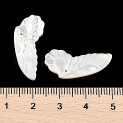 Anhänger aus natürlicher weißer Muschel&nbsp;SSHEL-I026-07B