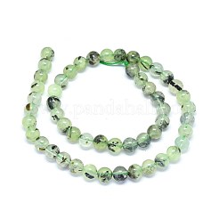 Perline Prehnite naturale fili&nbsp;G-F602-01-6mm