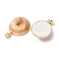 Pendentifs en coquillage naturel pavé de laiton&nbsp;KK-H002-01G