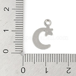 Anlaufgeschützte Charms aus Edelstahl 201&nbsp;STAS-C108-61P