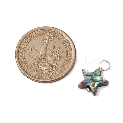 Natürliche Abalone Muschel / Paua Muschel Anhänger&nbsp;PALLOY-JF02701-01