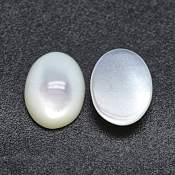 Cabochon shell&nbsp;SSHEL-P015-59B