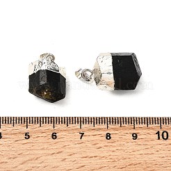 Natürliche schwarze Turmalin-Anhänger&nbsp;G-G977-02S-01