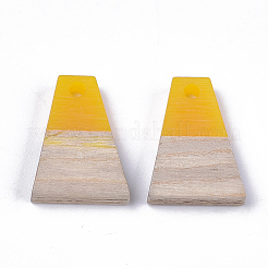 Colgantes de resina & madera&nbsp;RESI-S358-52C
