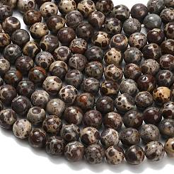 Brins de perles de jaspe astroite naturel&nbsp;G-H329-C02-8mm