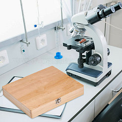 Cajas de madera para guardar portaobjetos de microscopio&nbsp;CON-WH0015-28
