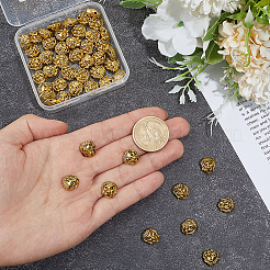 50pcs perles en alliage de style tibétain&nbsp;FIND-PH0038-16AG