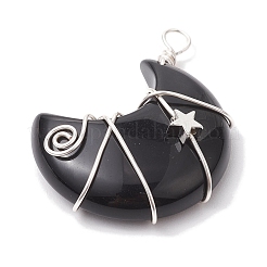 Mit natürlichem Obsidian-Kupferdraht umwickelte Anhänger&nbsp;PALLOY-JF02686-02
