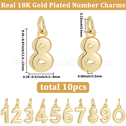 10 Stück 10 Stile Messing Charms&nbsp;KK-BBC0025-93