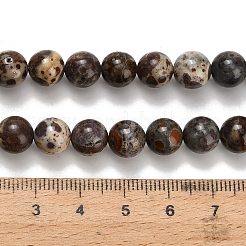 Brins de perles de jaspe astroite naturel&nbsp;G-H329-C02-8mm