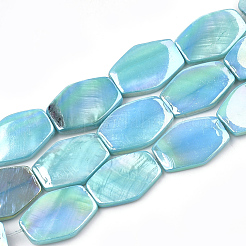Brins de perles de coquille d'eau douce de couleur ab&nbsp;X-SHEL-T009-04