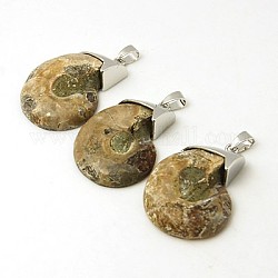 Gemstone Pendants, Fossil Spiral, with Brass Findings, Platinum Metal Color, Tan, 47~48x28~29x9~10mm, Hole: 7x5mm