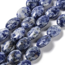 Perles de jaspe tache bleue naturelle, Ovale Plat, 17.5~18x12.5~13x6mm, Trou: 1.2mm, Environ 22 pcs/chapelet, 15.55'' (39.5 cm)