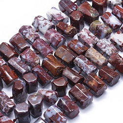 Brins de perles d'agate rouge, prisme hexagonal, 11~14x7~11mm, Trou: 0.5mm, Environ 41 pcs/chapelet, 16.5 pouce ~ 16.9 pouces (42~43)