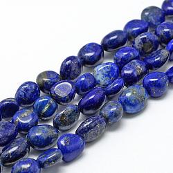 Chapelets de perles en lapis-lazuli naturel, ovale, 6~10x4~7x4~7mm, Trou: 1mm, Environ 43~62 pcs/chapelet, 15.7 pouce