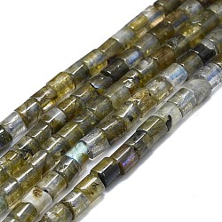 Chapelets de perles en labradorite naturelle , colonne, 4x3~4mm, Trou: 0.6mm, Environ 99 pcs/chapelet, 15.35'' (39 cm)