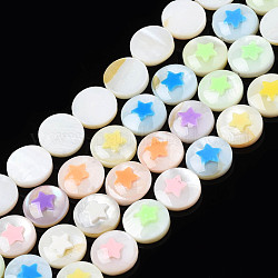 Perlas naturales de esmalte de concha de agua dulce, plano y redondo con estrella, color mezclado, 9x3mm, agujero: 0.8 mm, aproximamente 40 pcs / cadena, 14.17 pulgada (36 cm)