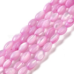 Hebras de cuentas de concha de trochus natural, teñido, arroz, rosa perla, 5x3~3.5mm, agujero: 0.7 mm, aproximamente 81~82 pcs / cadena, 15.39''~15.51'' (39.1~39.4 cm)