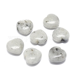 Natural Labradorite Heart Love Palm Worry Stone, Healing Crystal, 19~20x19~20x10.5mm