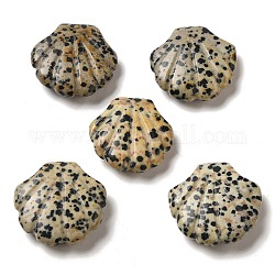 Figuras de concha curativa talladas de jaspe dálmata natural, decoraciones de exhibición de piedra de energía reiki, 30~30.5x30x8~8.5mm