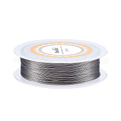 Unicraftale Steel Wire, Silver, 0.25mm, about 492.12 Feet(150m)/roll