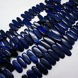Natürlichen Edelstein Lapislazuli Anhänger absolvierte Perlen Stränge, dunkelblau, 16~42x10~18x5~8 mm, Bohrung: 1 mm, etwa 15.7 Zoll