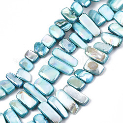 Natural Freshwater Shell Beads Strands, AB Color, Dyed, Nugget Stick, Sky Blue, 8~25x6~10x2~6mm, Hole: 0.5mm, about 46~49pcs/strand, 13.98 inch~14.56 inch(35.5~37cm)