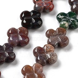 Chapelets de perles en agate indienne naturelle, Flower 4 pétales, 14x14x5.5mm, Trou: 1.2mm, Environ 15 pcs/chapelet, 7.87'' (20 cm)