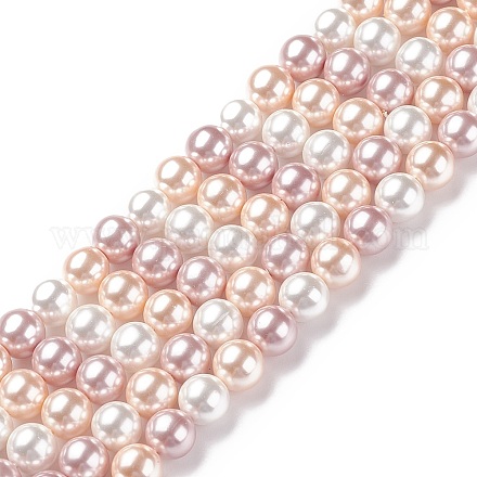Cuentas perlas de concha de perla BSHE-L017-16-1