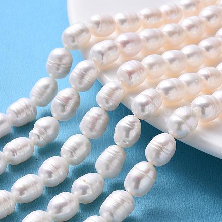 Grade B Natural Cultured Freshwater Pearl Beads Strands SPRB007Y-51-1
