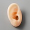 Silicone Ear Flexible Model Body Part Displays, Jewelry Display Teaching Tools, Blanched Almond, 5.9x3.8x3.1cm