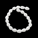 Chapelets de perles de jade blanche naturelle G-P520-B14-01-3