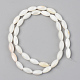Natural Freshwater Shell Beads Strands SSHEL-R048-008-2