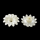Multi-pétale fleur abs plastique imitation perle chapeaux de perles OACR-R016-08-1