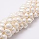Cuentas perlas de concha de perla BSHE-L028-01-10x12-1