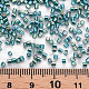 Glass tubulär Perlen SEED-S032-09A-645-4