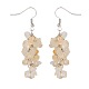 Natural Gemstone Cluster Dangle Earrings EJEW-JE01852-2