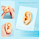 Moule d'affichage d'oreille gauche en silicone souple EDIS-WH0021-14B-4