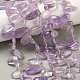 Natürlichen Amethyst Perlen Stränge&nbsp;G-P604-A08-01-1