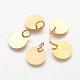 Brass Stamping Blank Tag Charms KK-C3050-G-NF-1