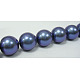 Chapelets de perles de coquille X-SP10MM637-2