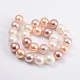 Shell Pearl Beads Strands BSHE-Q007-8-3