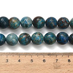 Natur Chrysokoll Perlen Stränge&nbsp;G-C289-B02-10mm