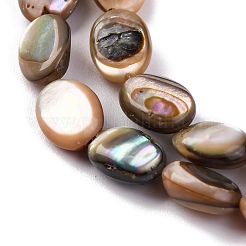 Natur Paua Muschel Perlen Stränge&nbsp;BSHE-B007-06