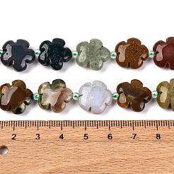 Natürliche Ozean Jaspis / Ozean Achat Perlen Stränge&nbsp;G-D475-02D