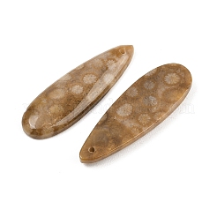Pendentifs naturels de corail fossile&nbsp;G-B187-01C-05