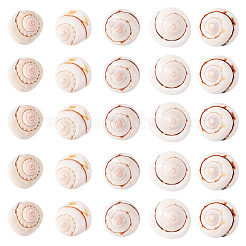Natürliche Spiralschale rote Lippenschale Perlen&nbsp;BSHE-TA0002-02